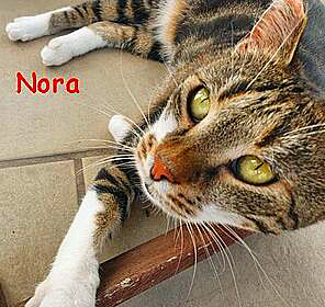 Nora